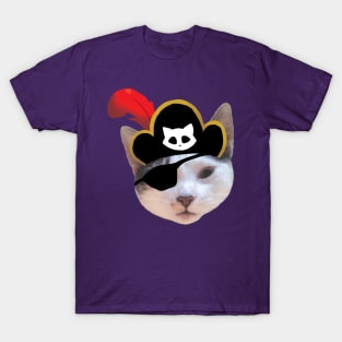 Bandit T-Shirt